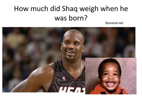 How much did shaq weigh when he was born. Things To Know About How much did shaq weigh when he was born. 